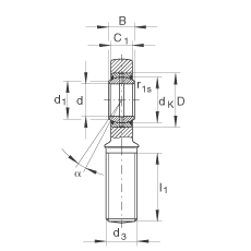 桿端軸承 GAR6-DO, 根據(jù) DIN ISO 12 240-4 標準，帶右旋外螺紋，需維護