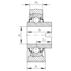 直立式軸承座單元 RASEL20-N, 鑄鐵軸承座，浮動(dòng)軸承，內(nèi)圈有驅(qū)動(dòng)槽，R 型密封